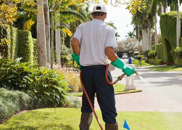 About Millers Falls MA Pest Control Pros